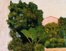 40491. �����, �������� Domenec