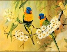 pa EricShepherd 11 RainbowLorikeet. ������, ����