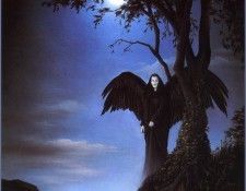 QMan AS EW 1550 Shadow. Sudworth, ����