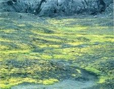 art 743. , 