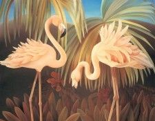 s4-vanishingspecies044-americanflamingo. , L