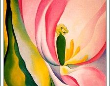 bs-flo- Georgia O Keefe- Pink Tulip. Киф Грузии O