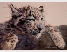 bs-na- David Rankin- Waiting For Mothers Return. , 
