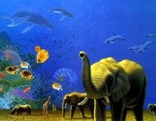 jw Shimm Shimmel Wall 001. �������, Shimm