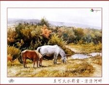 CSA aping WangKeDa 027. ��� �� Da