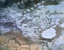 art 731. , 