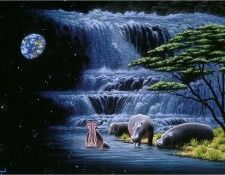 Waters of Life. Schimmel, 