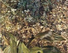 Freud (40). �����, ������