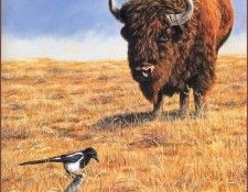 lrsBB03AllenKimball-Buffalo. , 