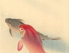 pic09358. �����