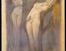 00810. ROPS, 