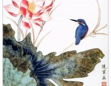 41520. ���� Chen