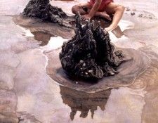 Hanks Steve Castles In The Sand. , 
