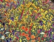 Marcel Cote - Petites Fleurs Bleues, De. , 