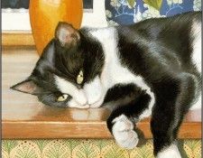 pa ChrissieSnelling Cats 08. ��������, ������