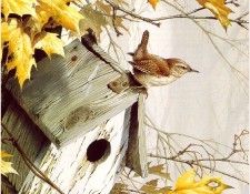 Bond-TeranceJames Wren-sj. ����, ������ Terance