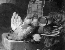 Hondecoeter Melchior Hunting still life with birds Sun. Hondecoeter, ��������� ��