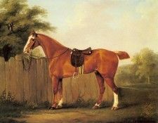 Sartorius John Nost A Chestnut Hunter Tethered To A Fence. ���������, ���� NOST