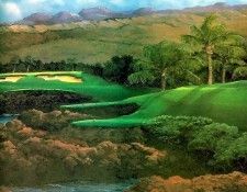 fairways csg026 mauna kea 3rd hole-libby peper. , 