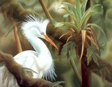 s4-vanishingspecies013-snowyegret. , L