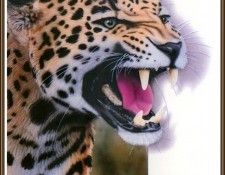 cr GregHurley-Untitled-01. �����, ����