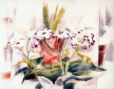 demuth cineraria 1923. , 
