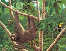 lrsBondHiggins SongofLaSelva01. ����, �������