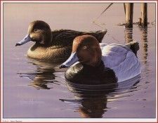 HautmanJames Redheads We@ISC. Hautman ������