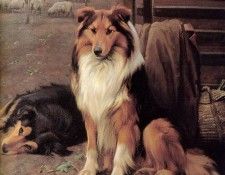 Barker Wright The end of the day Sun. ������, ����