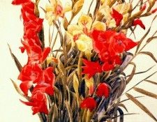 demuth red and yellow gladioli 1928. , 