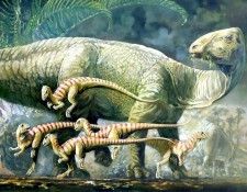 dinosaurs csg013 tenontosaurus dossi and hypsilophodont. , 