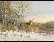 GrommeOwen-EarlySnowfallWhite-tailedDeer (sj-art340). Gromme,  J