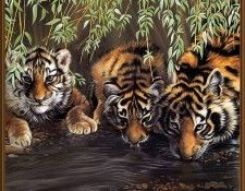 p Pollyanna Pickering Cal2001 07. ��������, ���������