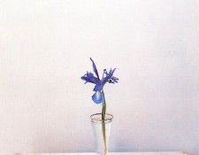 38097. �������, �������