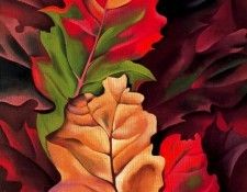 32339. OKeeeffe, ������