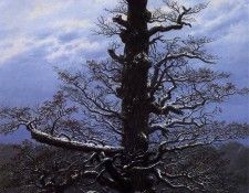 FRIEDRICH Caspar David The Oaktree In The Snow. �������, ������ �����