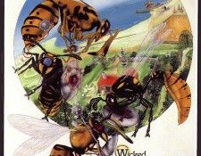 lrsBaseGraemeWickedWarriorWasps. , 