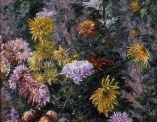 Caillebotte Gustave White and Yellow Chrysanthemums Garden at Petit Gennevilliers. , 