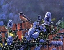 Terry Isaac - Singing The Blues, De. , 