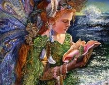 comber fairy. , 
