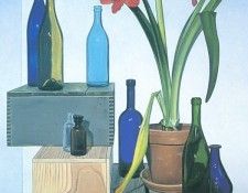 kb Jackson Robert-Amaryllis. , 