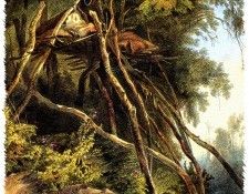 Sharper Native Americans SWD 34. ������, ����