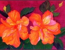 bs-flo- Sara Steele- Double Hibiscus. ����, ����