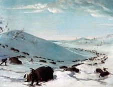 JLM-1831-37-George Catlin-Sioux Lancing Buffalo. ������, ������