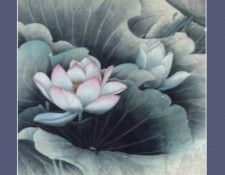 pic01494. ���, Yongjun