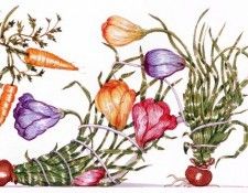 Dennis Kyte - Crocus & Carrot, De. , 
