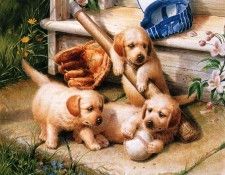 Ipl 0005 Lets Play Ball MichaelJackson sqs. �������, ������� � ����� ������