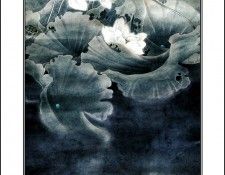 CSCU aping 2k3 wang ke yin 048. ��� ��� ��