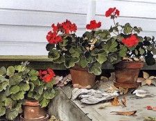 Paul-Yvan Gagnon - Quarter after 12 PM, De. ������, ����-����