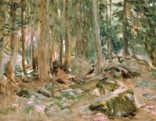 Pine Forest, Sargent - 1600x1200 - ID 8059. ,